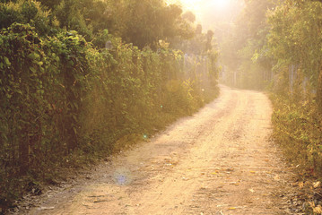 Plakat Rural gravel country road with sunlight in the morning at the countryside of Thailand.