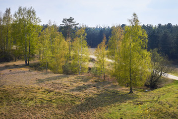 Fototapeta premium Landscape of Tevener Heide Natural Park in spring , Germany, North Rhine-Westphalia