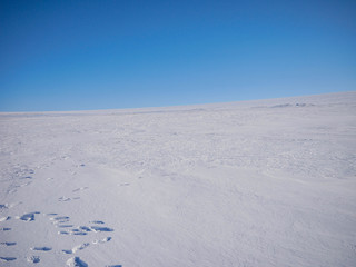 Beautiful landscape of Ice field