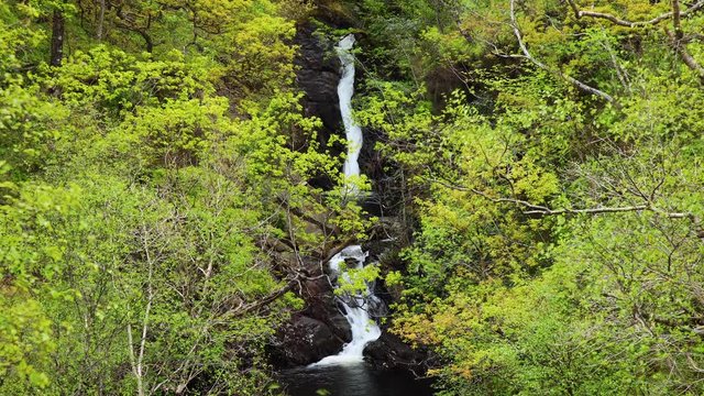 a view of a secret waterfall in the highlands of scotland near kinlochleven on the west highland way near fort william in spring showing green forest trees and falling water