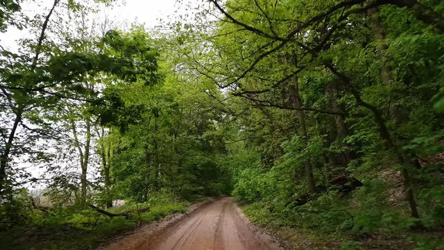 Driving down an old country road during spring summer. Old dirt road driving in the forest. Point-of-view driving. Road through tree forest and lawn.
