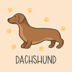 Cute Dachshund cartoon hand drawn style