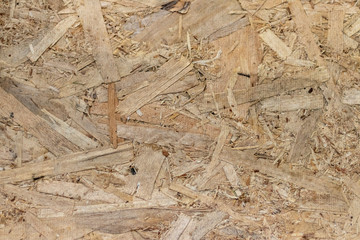 Old timber wall background