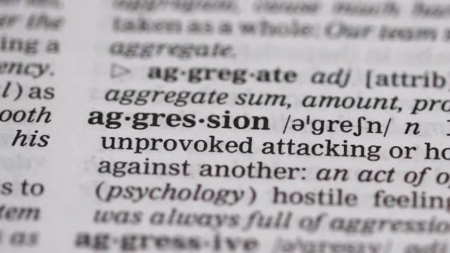 Aggression word in english vocabulary, hostile attitude, domestic misbehavior