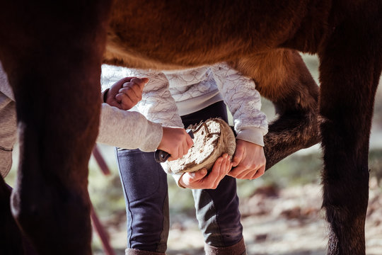 Deux filles en train de cureter les sabots d'un cheval