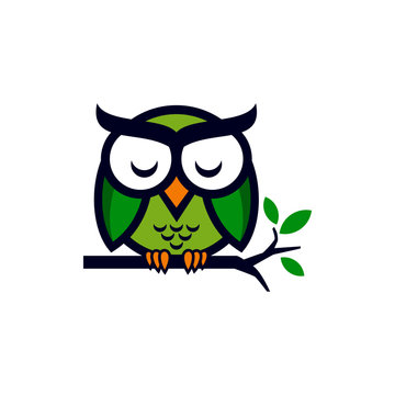 Owl Vector Logo Design Template
