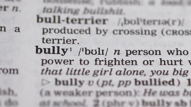 Bully, word pointed in english vocabulary, aggressive person humiliating others