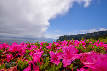 natural scenery at the azores island