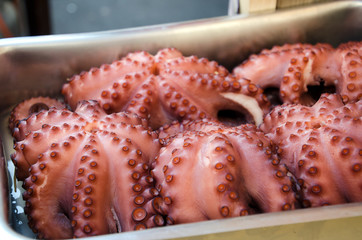 Pulpo a feira o a la gallega