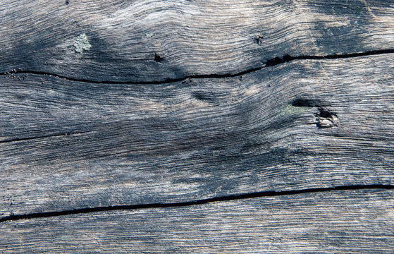 Silver Wooden Texture Closeup Photo. Grey Timber With Weathered Cracks. Natural Background For Vintage Design.