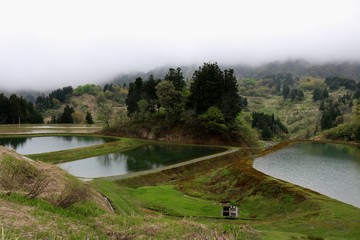 Fototapeta premium 山古志村の春の水田風景