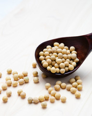 soybeans and rice paddle.