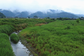 Fototapeta na wymiar 霧がかかる雨天の山と川の風景