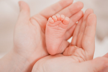 Pregnancy, maternity, preparation and expectation motherhood, giving birth concept. Newborn baby feet in hands of mommy