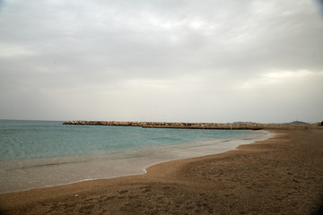 Obraz premium Plage de Méditerranée et ses Goélands bruns 7