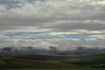Fototapeta na wymiar A hilly, green and clouded Overberg landscape