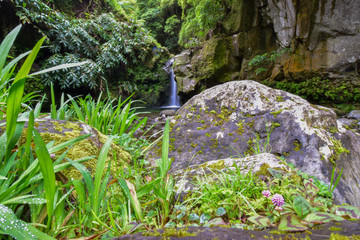 natural scenery at the azores island