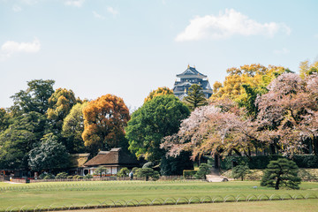 Okayama castle and Korakuen garden at spring in Japan