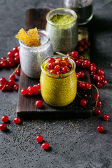 Variety of chia puddings