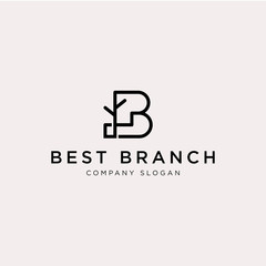 Premium B Logo - Vector logo template