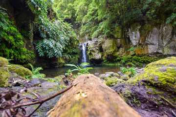 natural scenery at the azores island