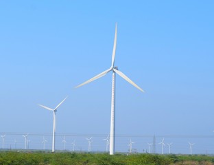 wind turbines in the field