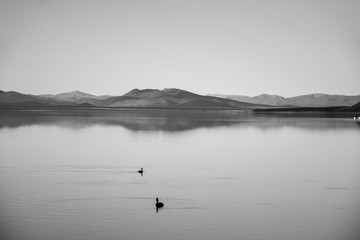 Obraz na płótnie Canvas black and white lake landscape 