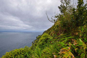 natural scenery at the azores island