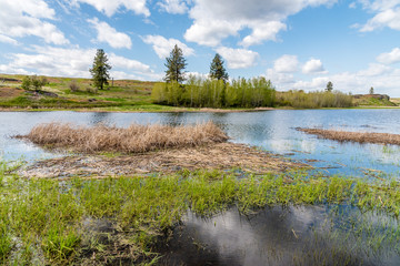 Farm Pond At Fishtrap Recreation Area