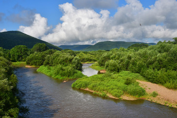 Fototapeta na wymiar Russia, Primorsky Krai, river Arsenievka (Arsenyevka) in summer