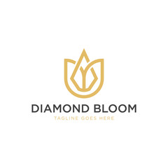 Diamond Bloom Logo - Vector logo template