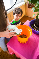 Replanting home flowers.