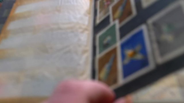 Philatelist Browsing Stockbook with Postage Stamps Collection