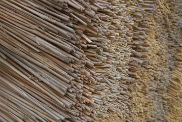茅葺き（thatch）