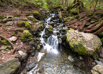 small waterfall in the forest