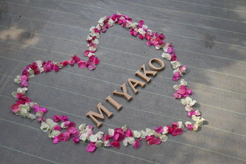 MIYAKOのハートアート