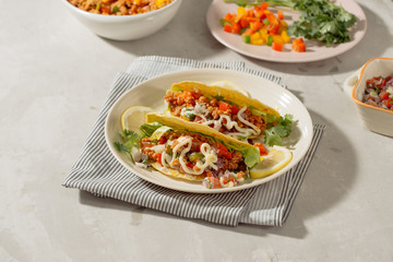 Mexican pork tacos with vegetables. Delicious tacos