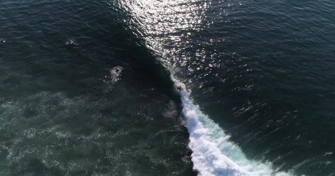Amazing aerial video of surfer riding wave from above. Airflow Creations travel and sports collection featuring on the longest waves in the world. Central America summer travel destination.
