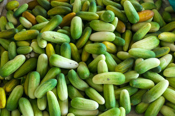Cucumbers in the market background