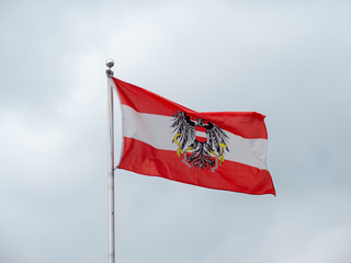 Austrian Flag with the Federal Eagle Coat of Arms on Grey Background