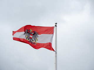 Austrian Flag with the Federal Eagle Coat of Arms on Grey Background