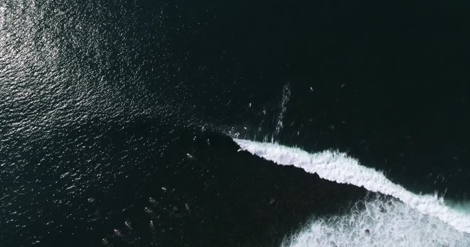 Surfer riding wave from aerial perspective in Punta Roca from above. Airflow Creations sports travel stock footage from vacation and hospitality collections