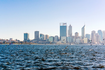 Fototapeta premium Perth City skyline viewed from South Perth in early morning sunlight.