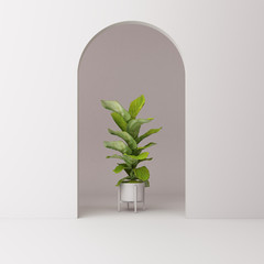 Minimalistic,white arch with plant. 3d rendering