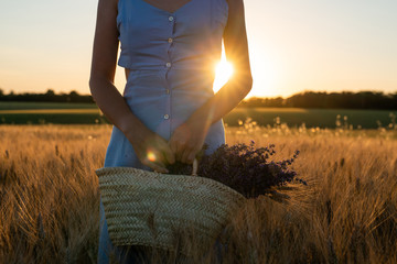 Beautiful young woman in blue dress holds bouquet of flowers lavender in basket while walking outdoor through wheat field at sunset in summer. Provence, France. Toned image with copy space.