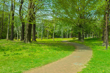 Garden path