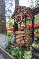 Fototapety na wymiar - Fototapeta24.pl