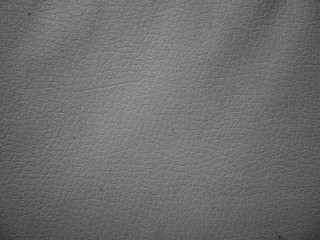 texture of white leather skin