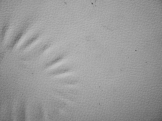 white leather skin background