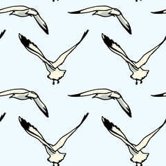Hand drawn seagulls pattern